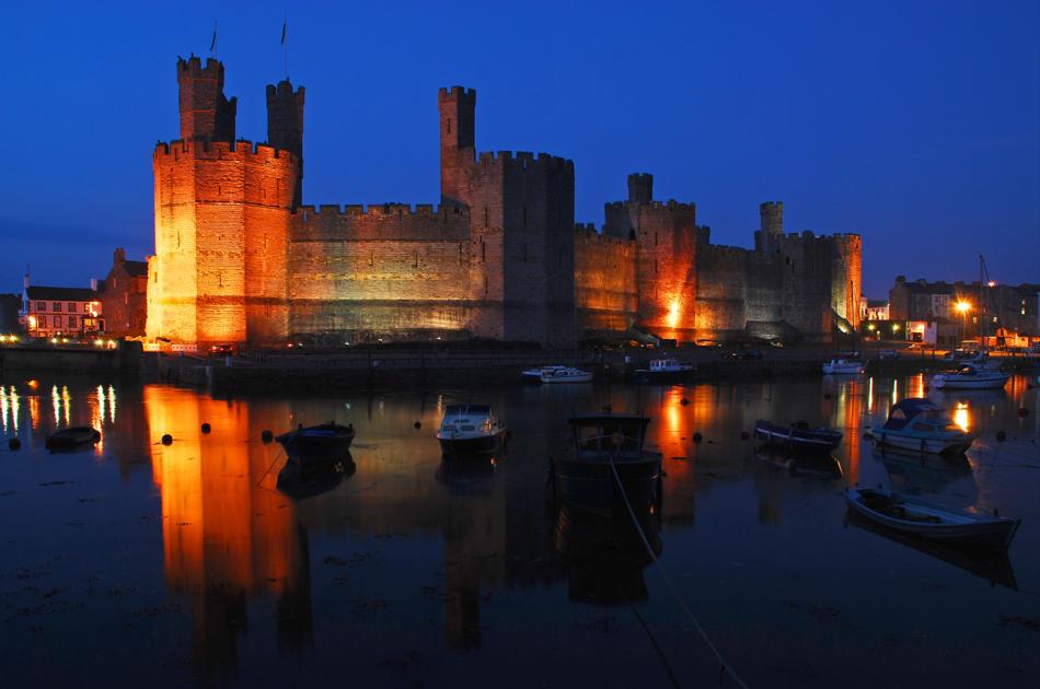 Five things to do in Wales for Earth Hour | WWF